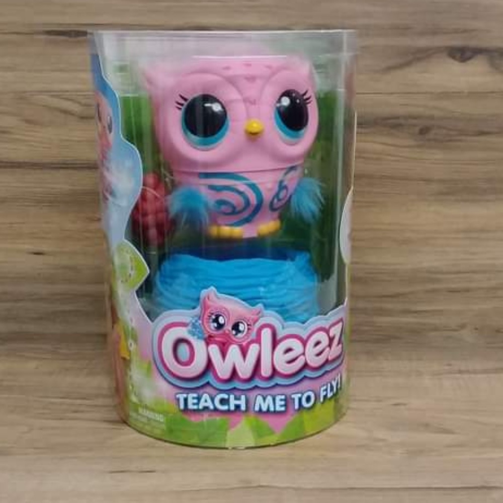 Owleez Teach Me to Fly Interactive Play